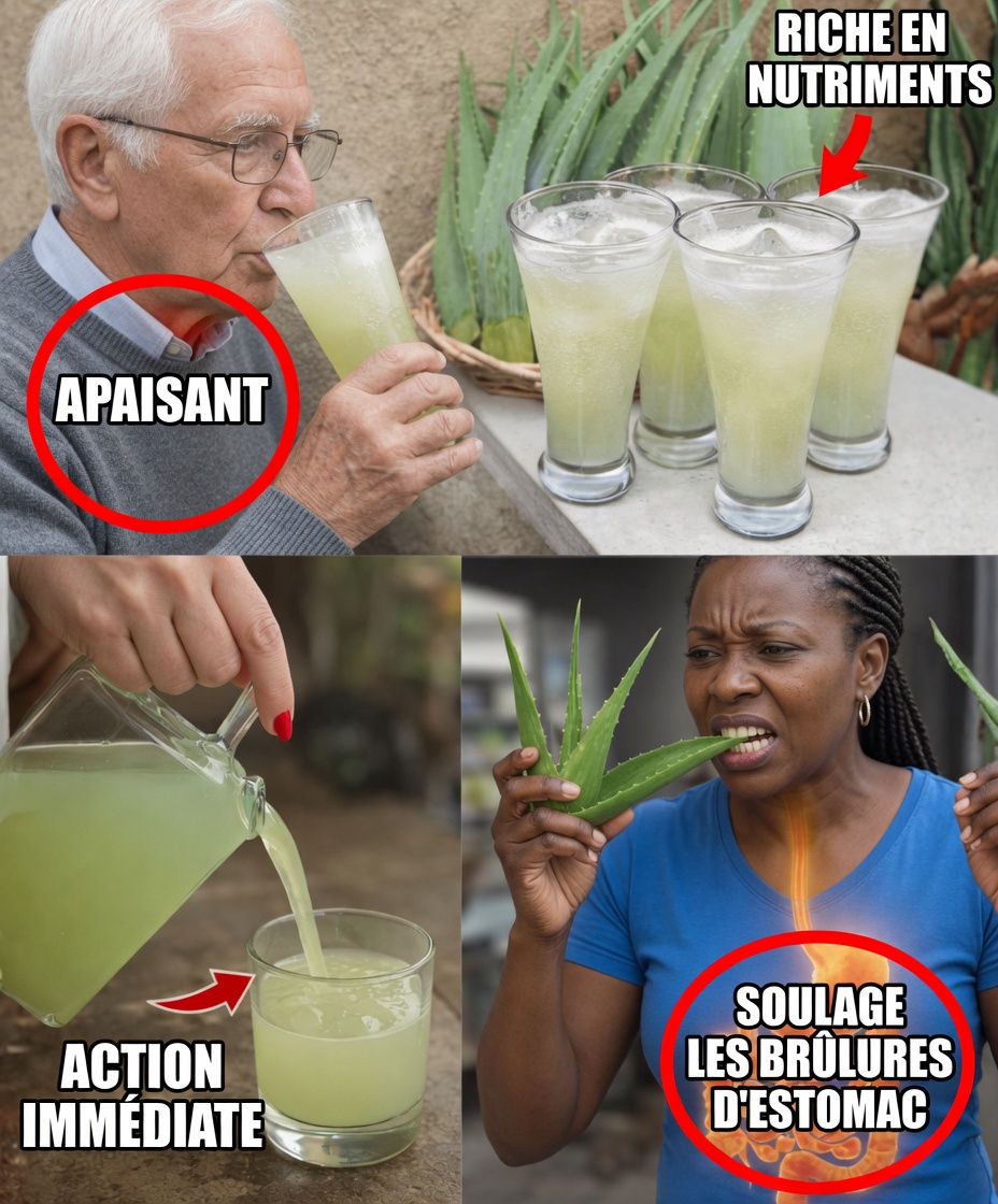 Les bienfaits de l’aloe vera pour la santé : l’allié apaisant de la nature pour la peau et la digestion