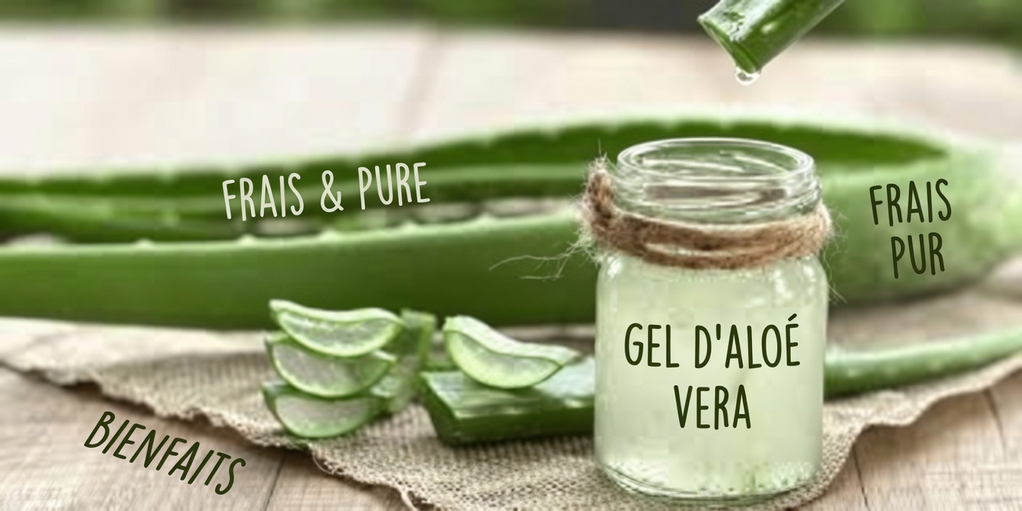 Les bienfaits de l’aloe vera pour la santé : l’allié apaisant de la nature pour la peau et la digestion