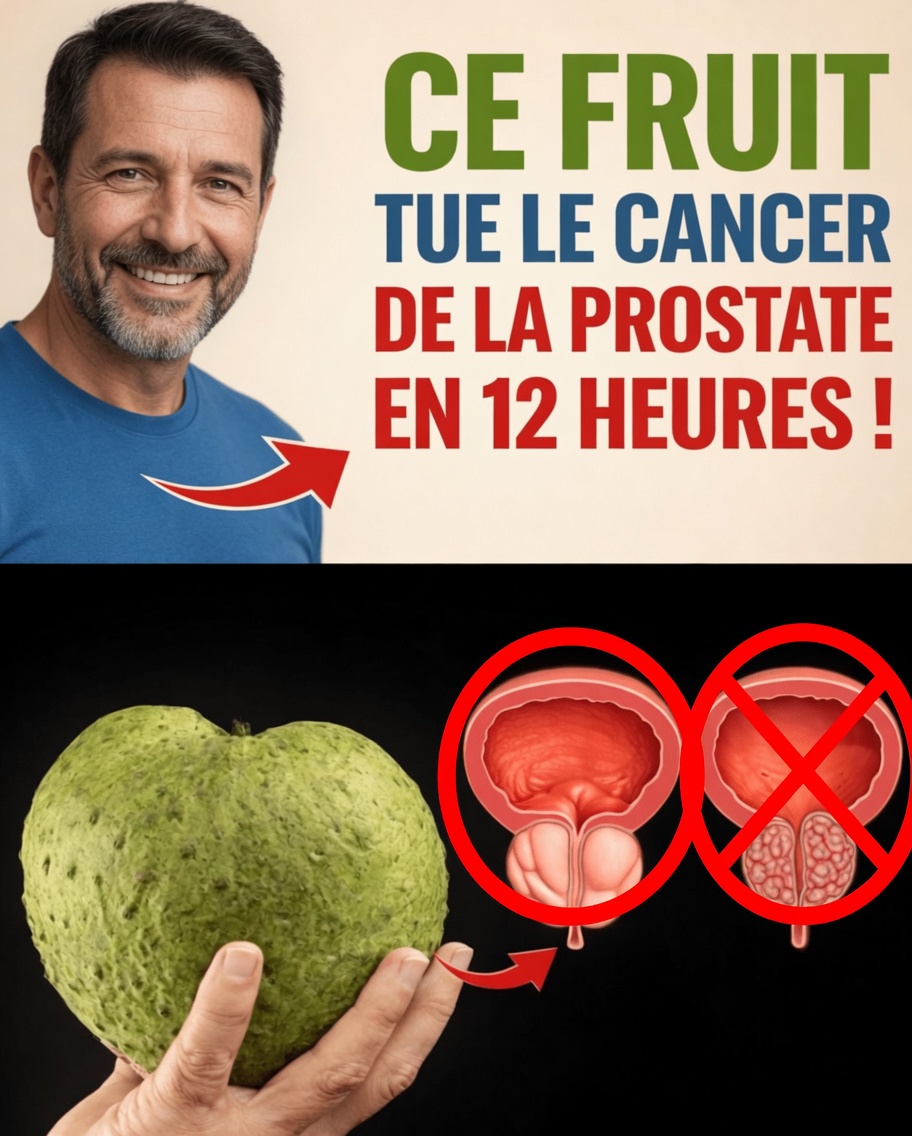 Le corossol (graviola) peut-il soutenir la santé de la prostate ? Exploration de ses antioxydants et de ses bienfaits potentiels