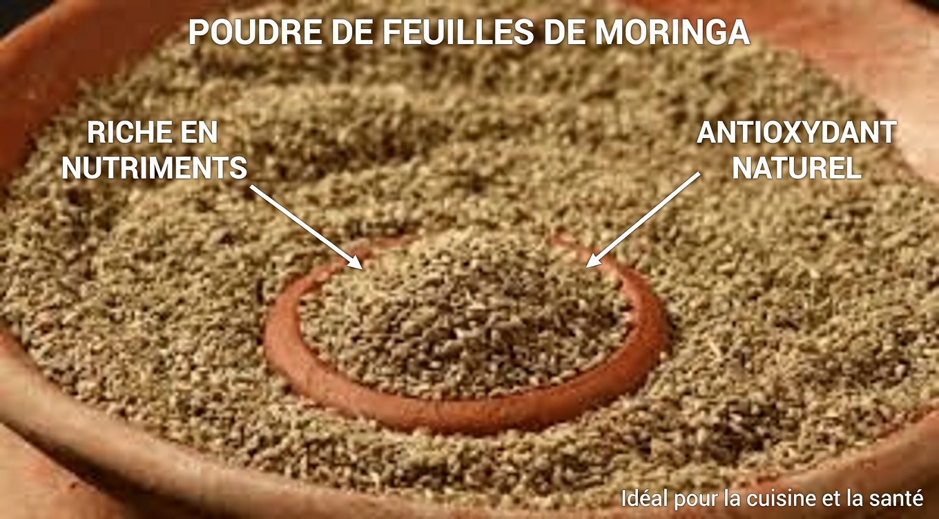 5 graines du quotidien que les traditions himalayennes utilisent pour un bien-être quotidien tout en douceur (et un simple trempage nocturne à essayer)