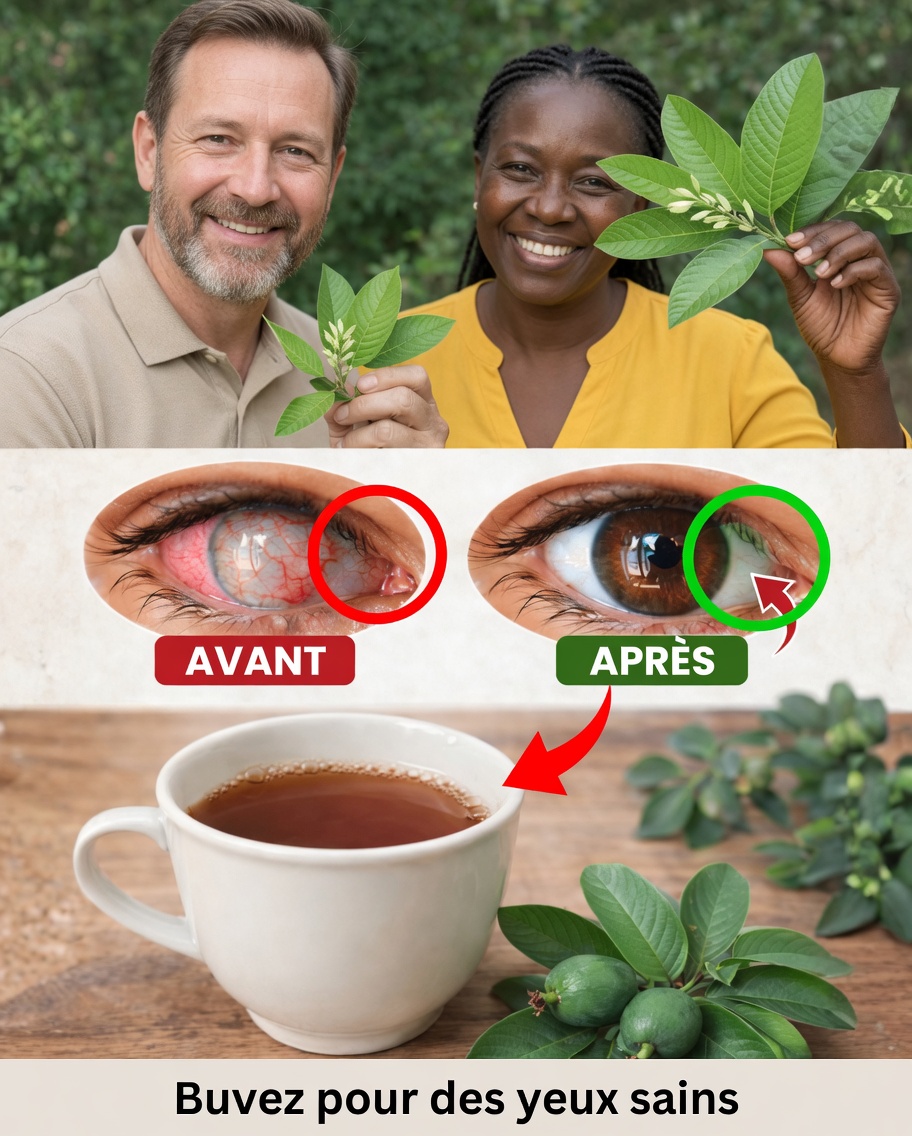 Découvrir le potentiel nutritionnel de la goyave pour soutenir la santé oculaire : des façons simples de l’intégrer à votre routine