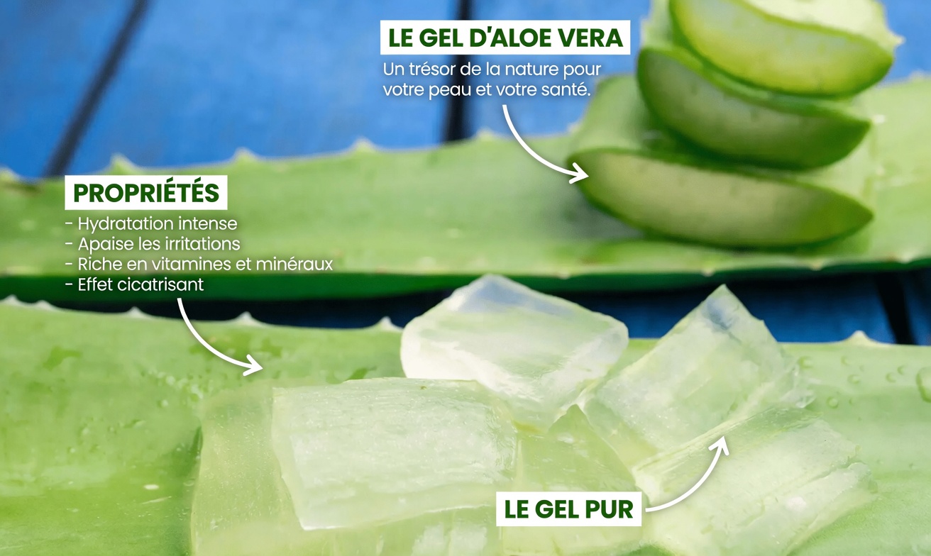 Une boisson matinale simple : citron, gingembre et aloe vera pour le confort digestif et la régularité