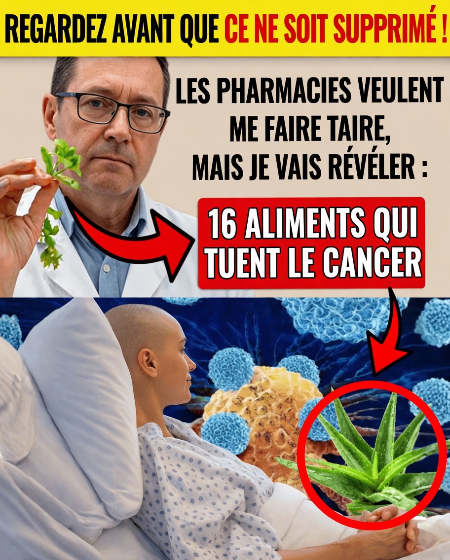 16 aliments susceptibles de réduire le risque de cancer : des choix fondés sur la science pour une assiette plus saine