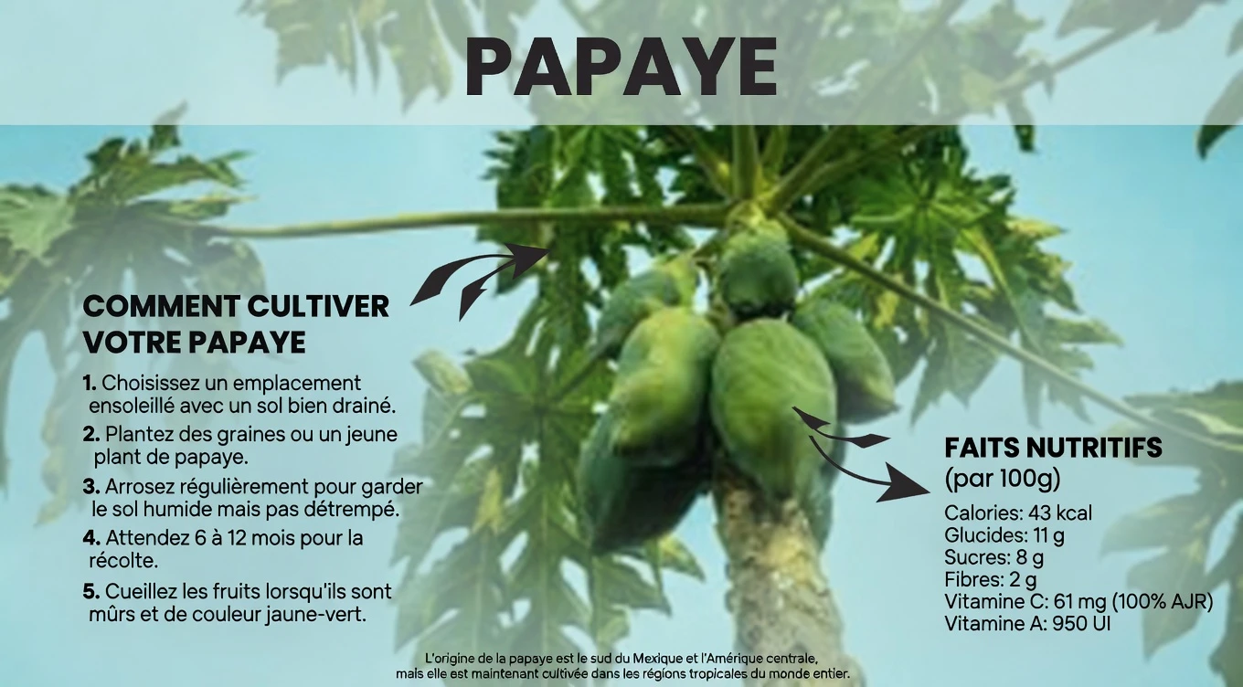 Explorer le potentiel des feuilles de papayer pour la santé des cheveux : ce que suggère la science