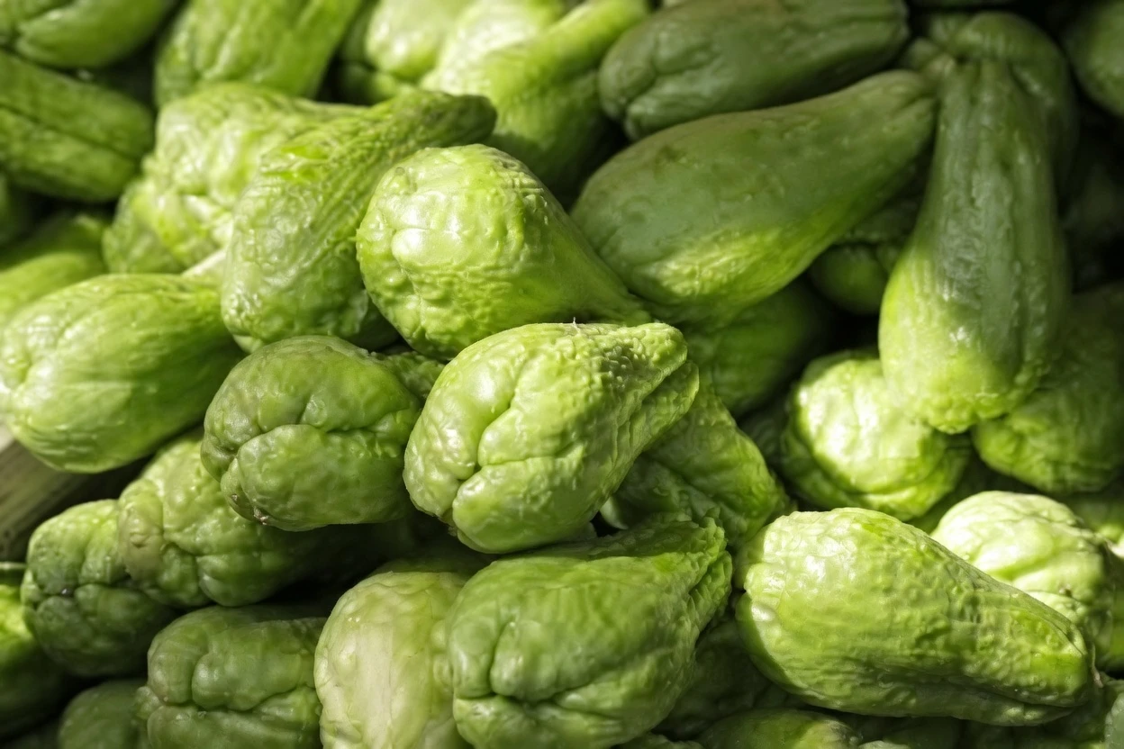 Découvrez la simple habitude matinale : infusion de chayote, d’ail et d’origan pour un soutien quotidien au bien-être