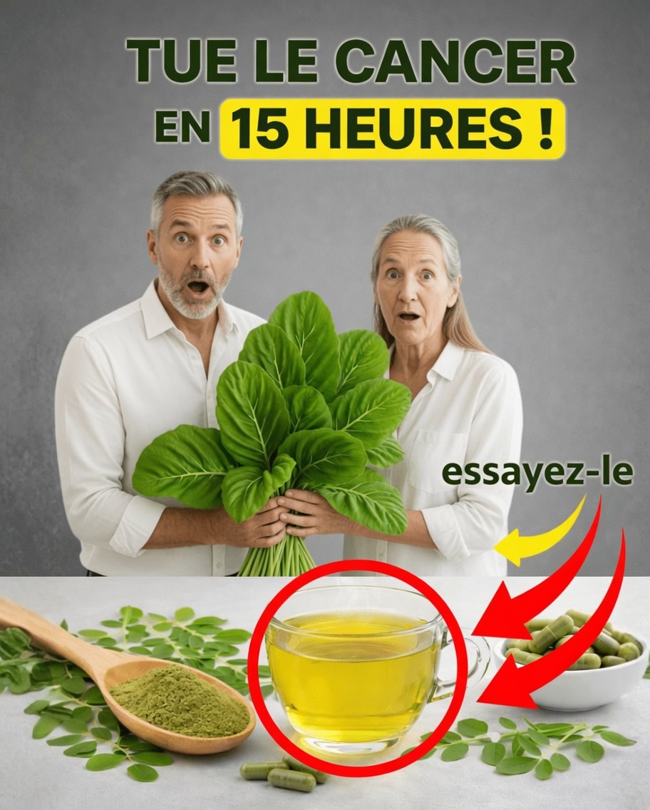 Trois feuilles riches en nutriments qui pourraient soutenir les défenses naturelles de votre organisme