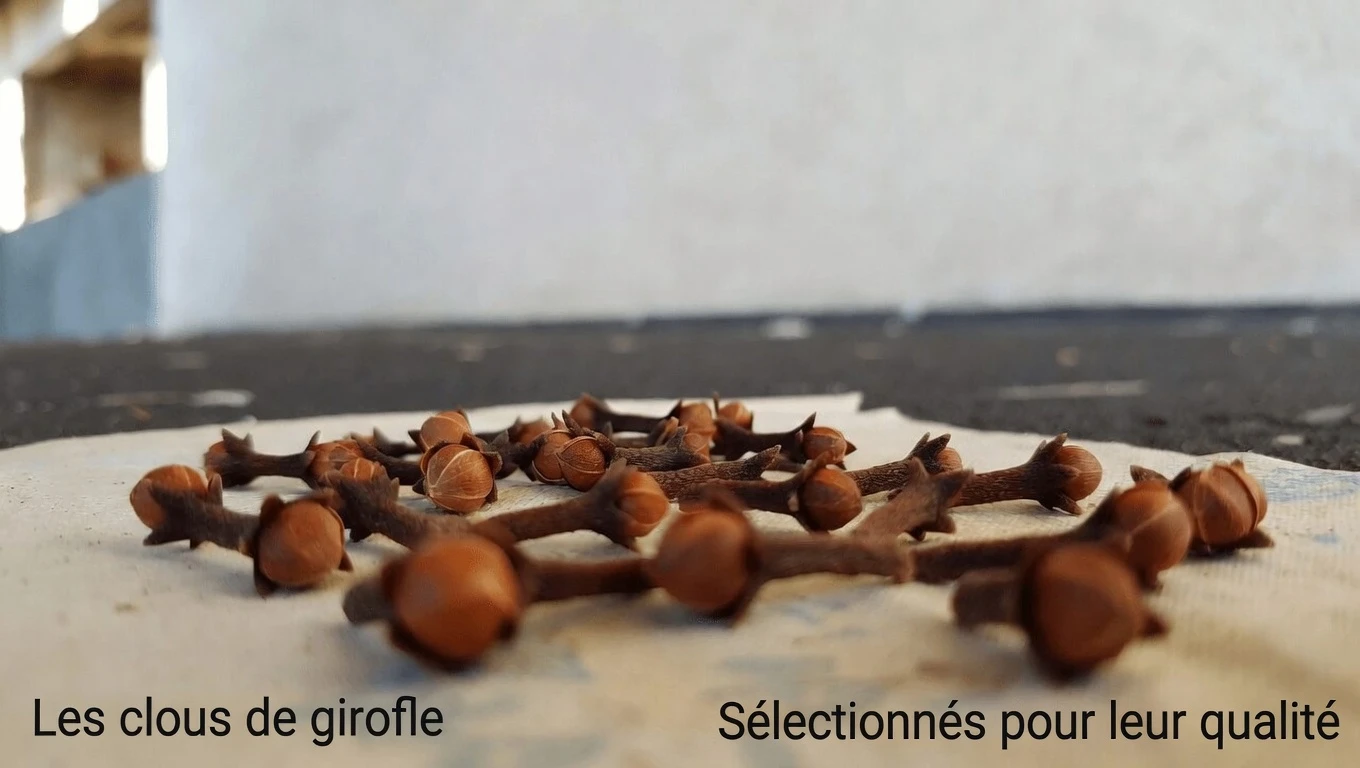 Pourquoi mâcher 2 clous de girofle par jour pourrait être un ajout simple à votre routine de bien-être