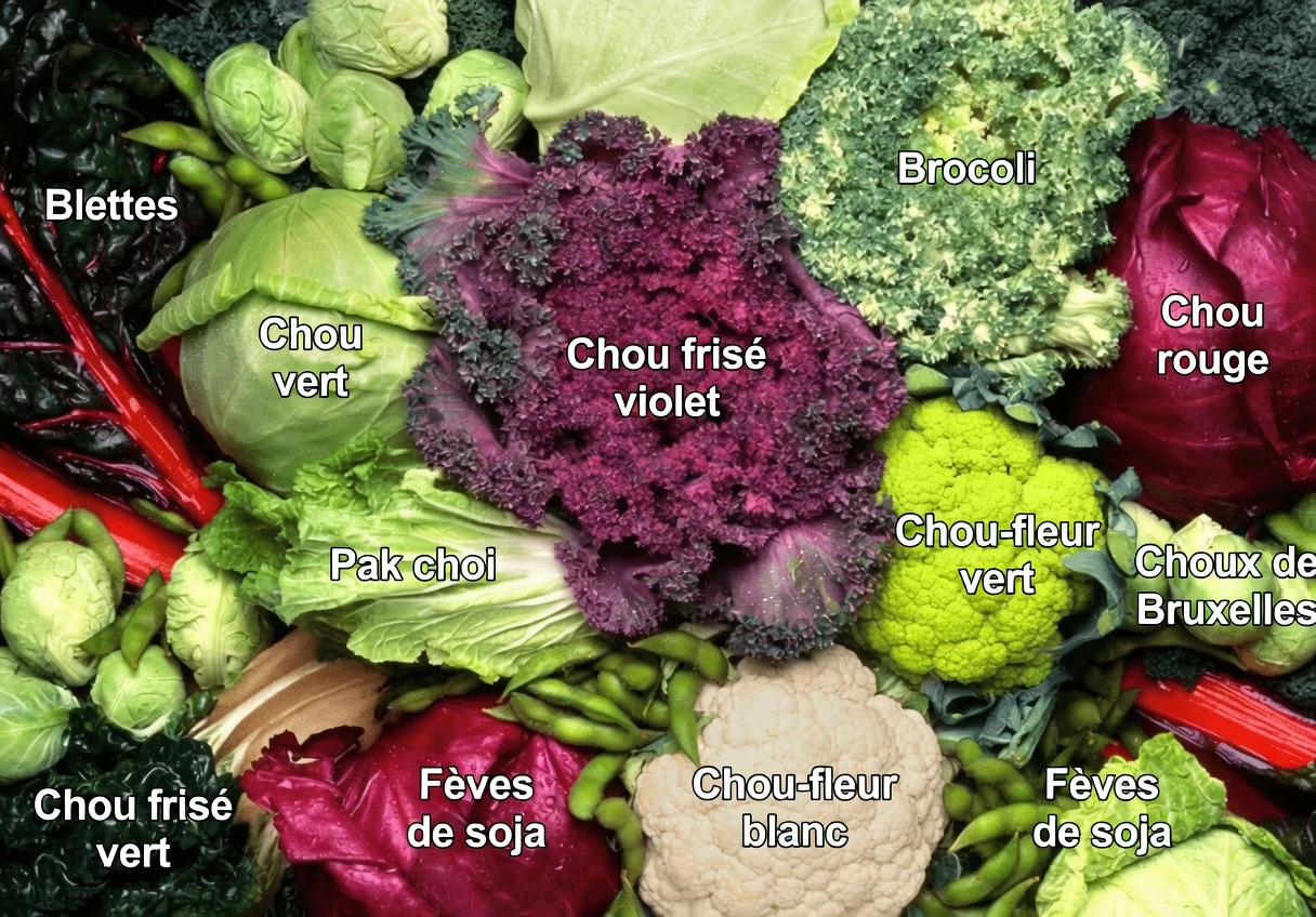 16 aliments qui peuvent aider à réduire votre risque de cancer : choix fondés sur des données probantes pour une alimentation plus saine