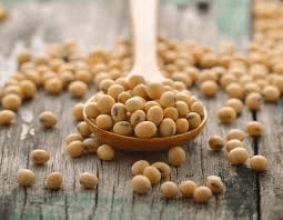 6 aliments qui peuvent favoriser la santé de la prostate chez les hommes