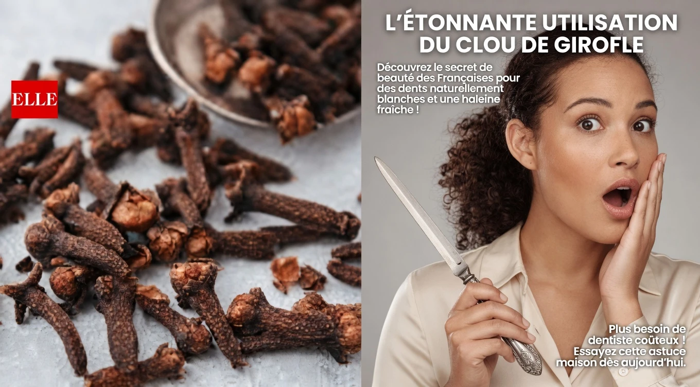 Les dangers cachés du clou de girofle : quand cette épice populaire peut nuire à votre santé