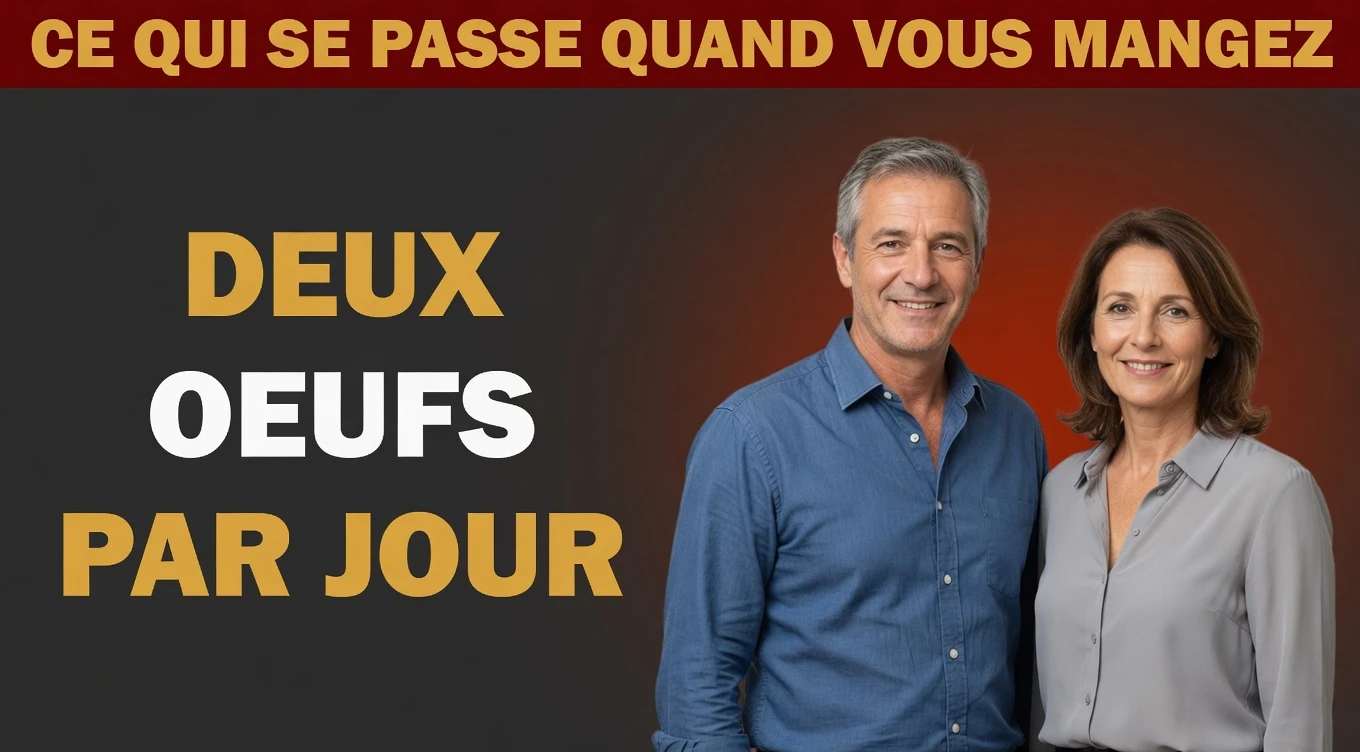 Que se passe-t-il lorsque vous mangez deux œufs chaque jour ? 15 bienfaits surprenants prouvés par la science