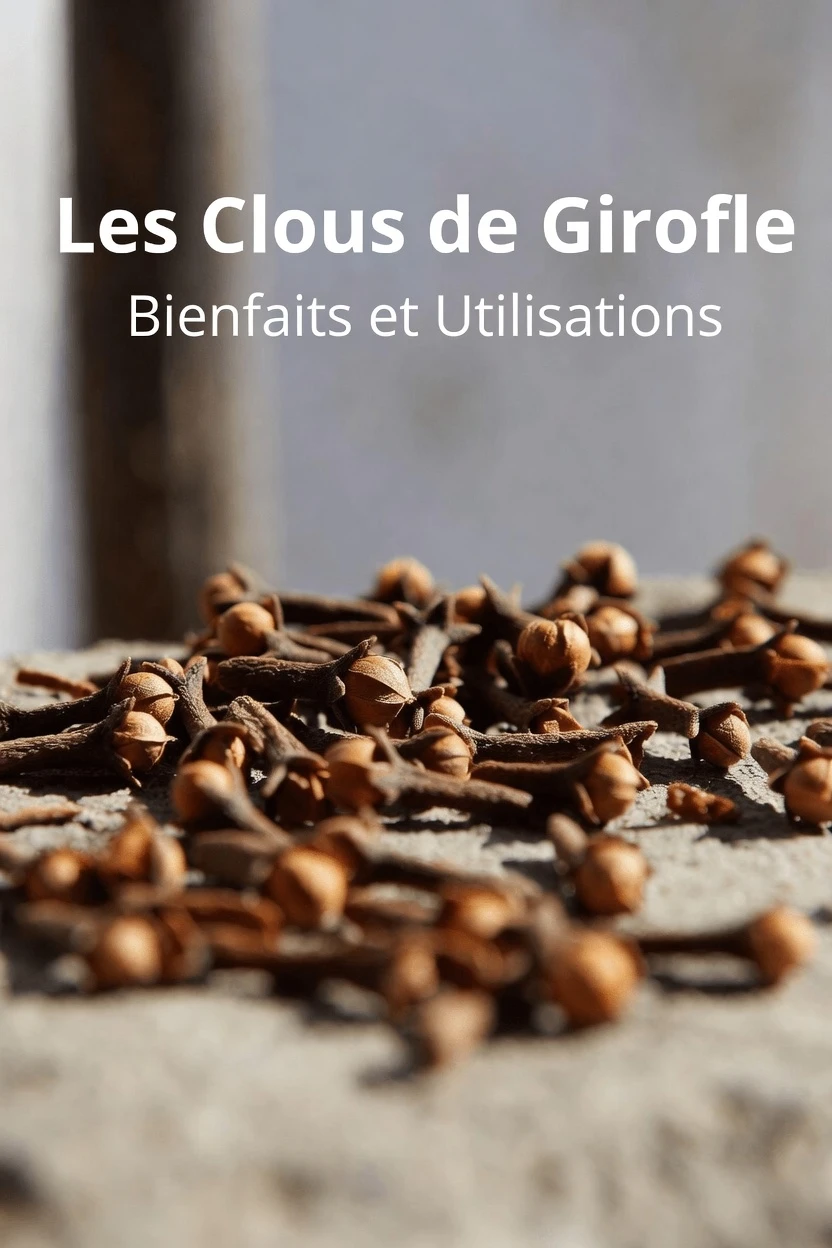Découvrez ce qui se passe lorsque vous mâchez 2 clous de girofle chaque jour