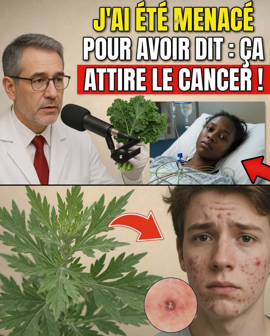 Cette herbe courante cache-t-elle un risque potentiel ? Ce que disent les experts sur la feuille de boldo et votre santé